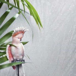 Marburg Duvar Kağıtları - Papis Loveday