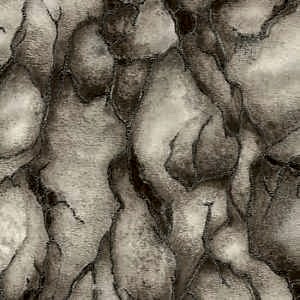 Valentin Yudashkin İtalyan Duvar Kağıdı - EMILIANA PARATI