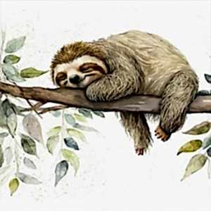 Dalda Uyuyan Tembel Hayvan Duvar Kağıdı Modelleri ve Fiyatları Dekoros'da. Tüm Türkiye'ye Poster Duvar Kağıdı Gönderilir.