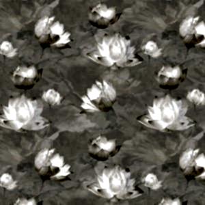 İngiliz Duvar Kağıdı Lotus Çiçekli Krem Rengi Santorini SA01907 Yeni Sezon En İyi İngiltere Markası Duvar Kağıtları ve Fiyatları - Şimdi İncele!