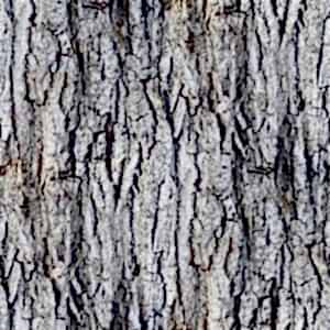 Eskitme Ağaç Desenli Folyo Kaplama 45 cm ve 90 cm Rulo Çeşitleri Dekoros'ta. Tezgah, Banyo, Duvar ve Masa Kaplamaya Uygun. İncelemek için Şimdi Tıkla!