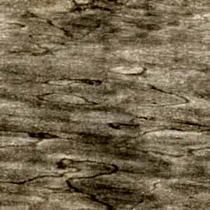 Huş Ağacı Ahşap Desenli Yapışkanlı Folyo 45 cm ve 90 cm Rulo Çeşitleri Dekoros'ta. Suya Dayanıklı Yapışkan Mobilya Kaplama Folyosu için Tıkla.