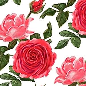 Pembe Kırmızı Gül Yapışkanlı Folyo 45 cm ve 90 cm Rulo Çeşitleri Dekoros'ta! Kendinden Yapışkanlı, Desen Takipli, Kaplama Folyoları için Hemen Tıkla!