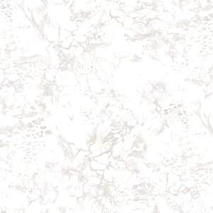 Roka Duvar Kağıdı Modelleri ve Fiyatları