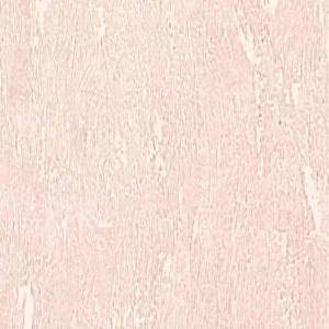 Odessa Duvar Kağıdı modelleri, Odessa Duvar Kağıtları Fiyatları