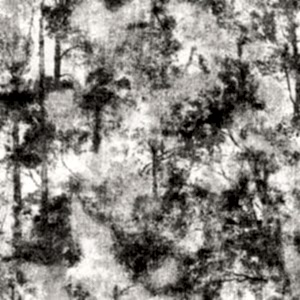 Tudor duvar kagidi 3503-02