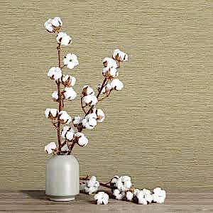 beta-duvar-kagidi-1101-4